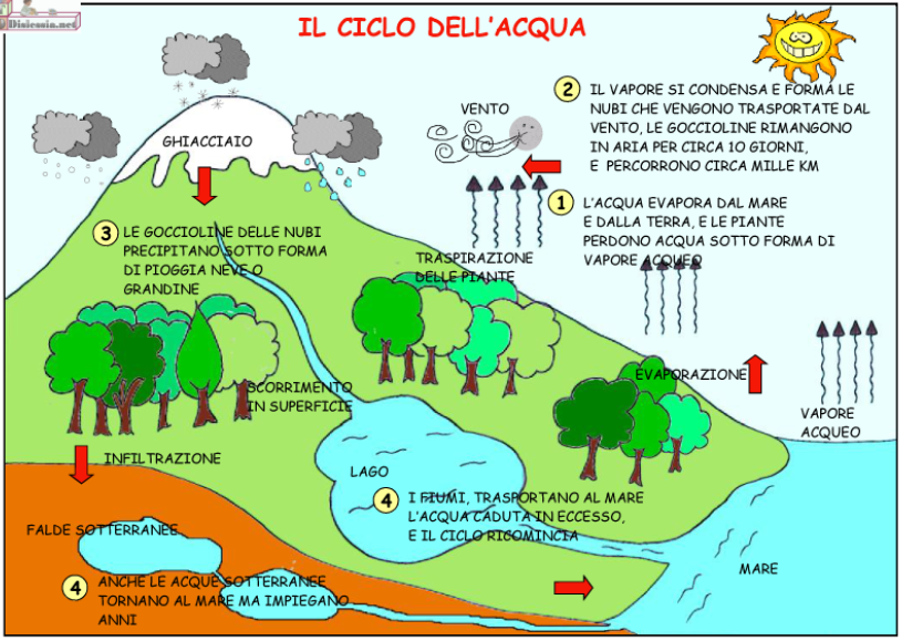 Il_ciclo_dellacqua.png