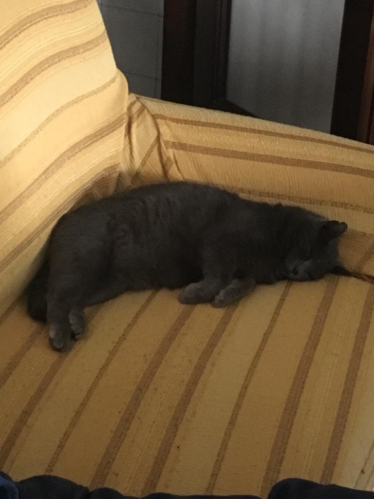 IMG-20190409-WA0002.jpg