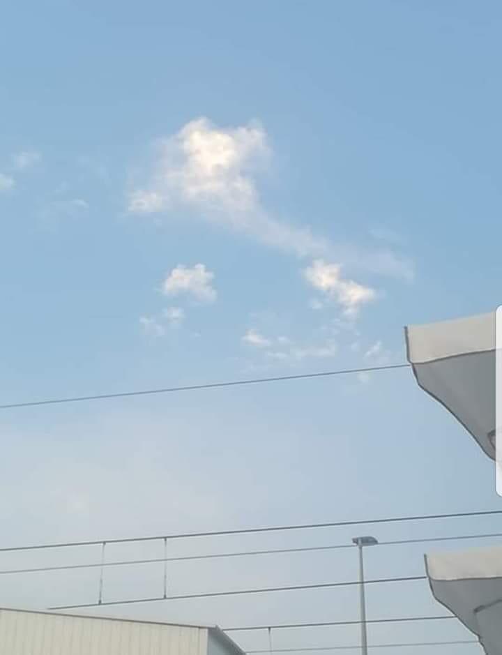 IMG-20200315-WA0003.jpg