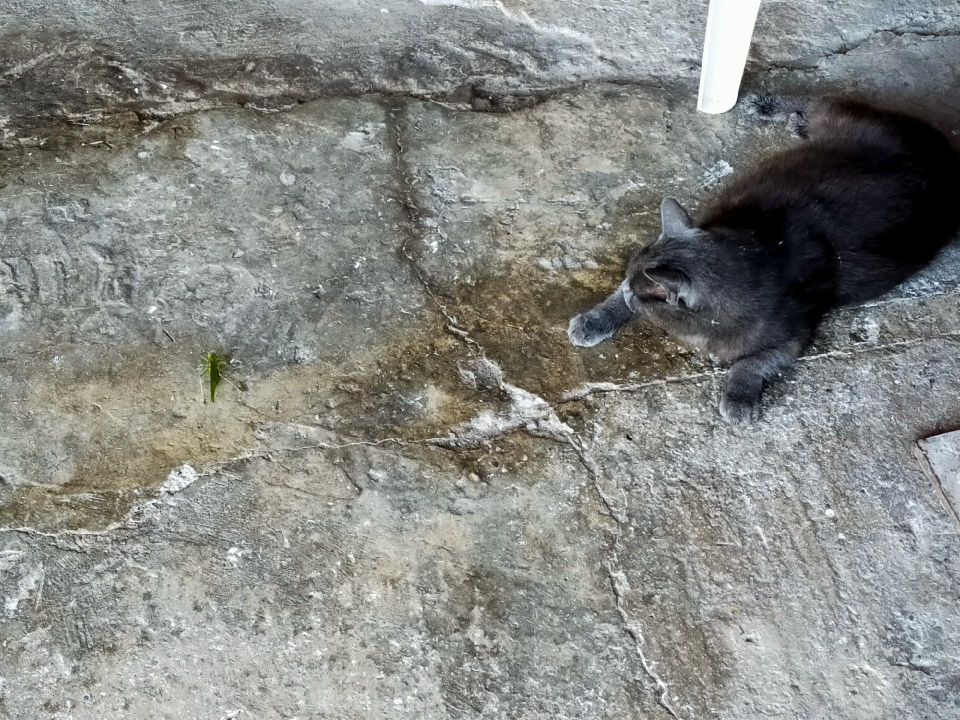 IMG20210709072331_resize_50.jpg