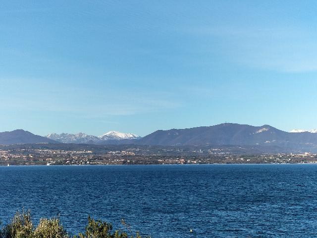 IMG20211212113538.jpeg
