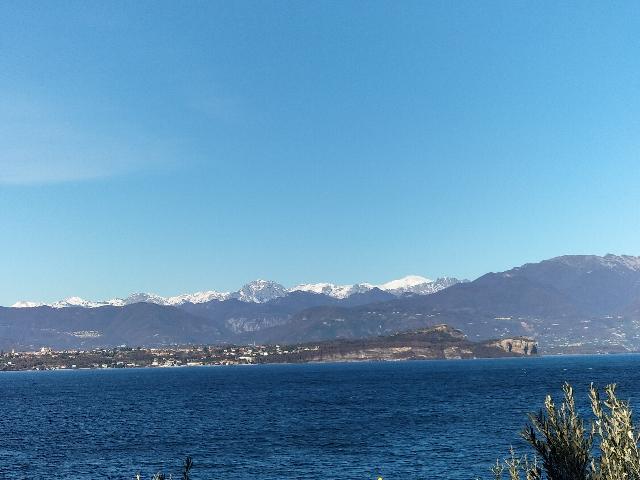 IMG20211212113543.jpeg