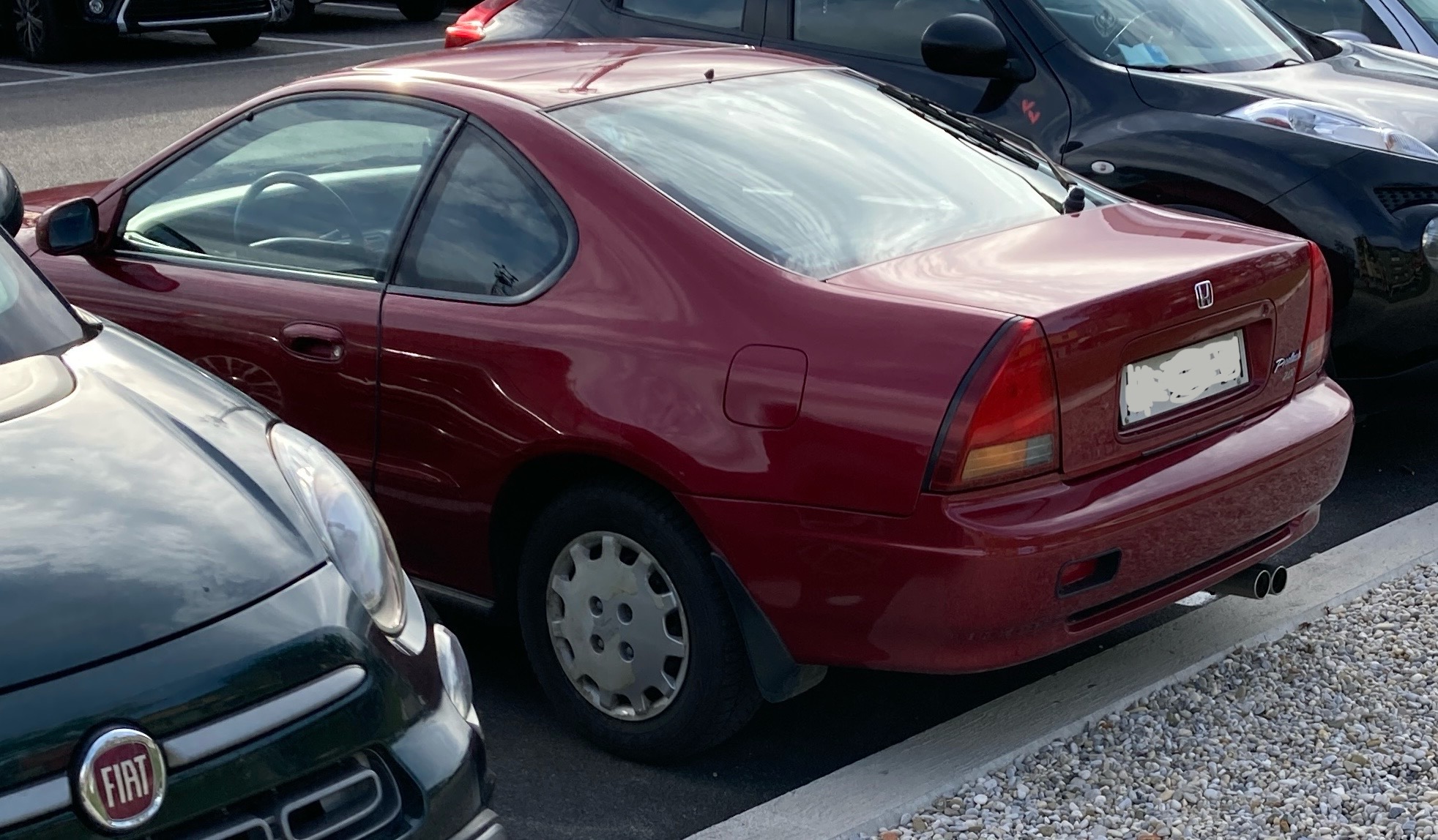 IMG_0555.jpeg