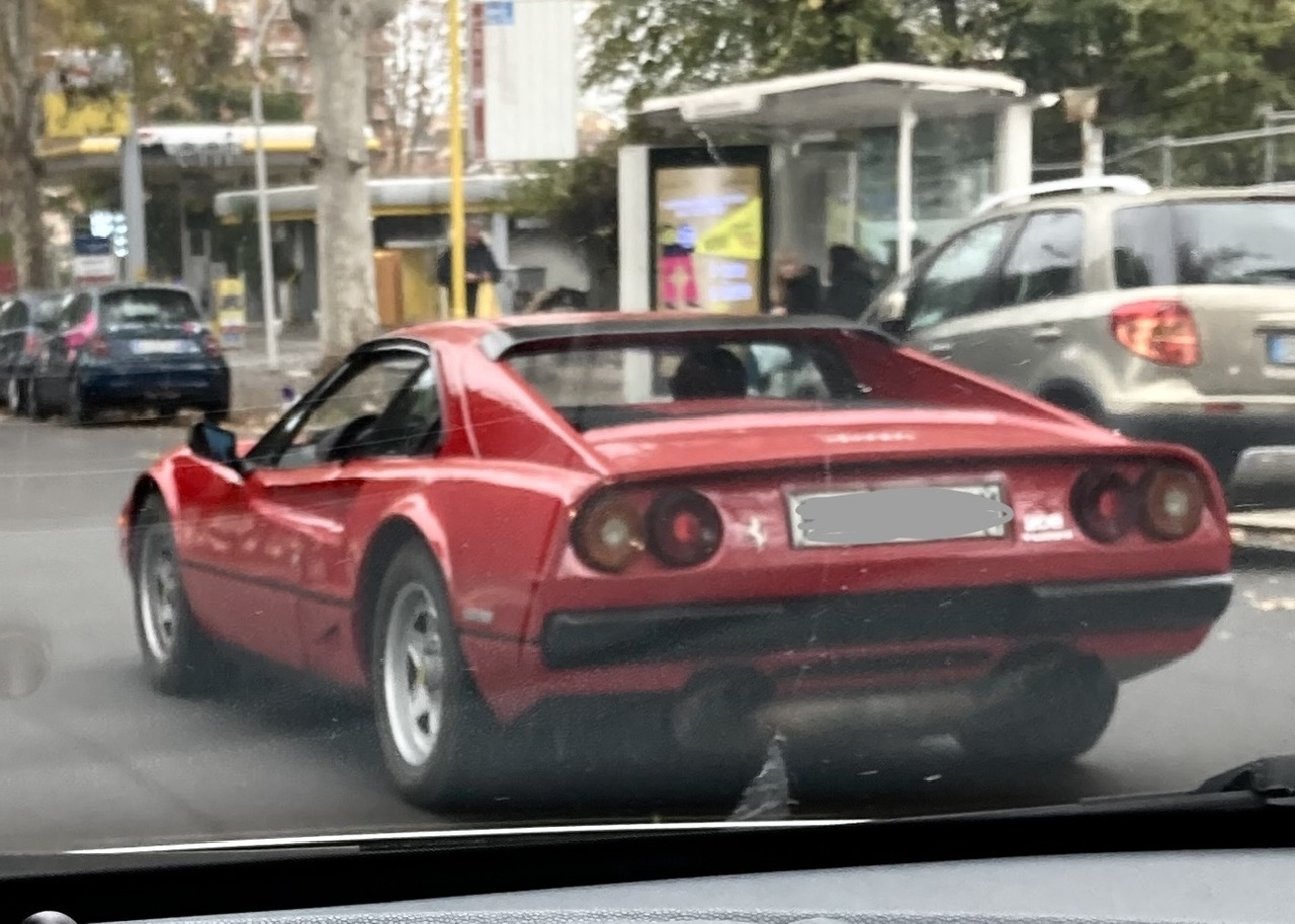 IMG_2255.jpeg