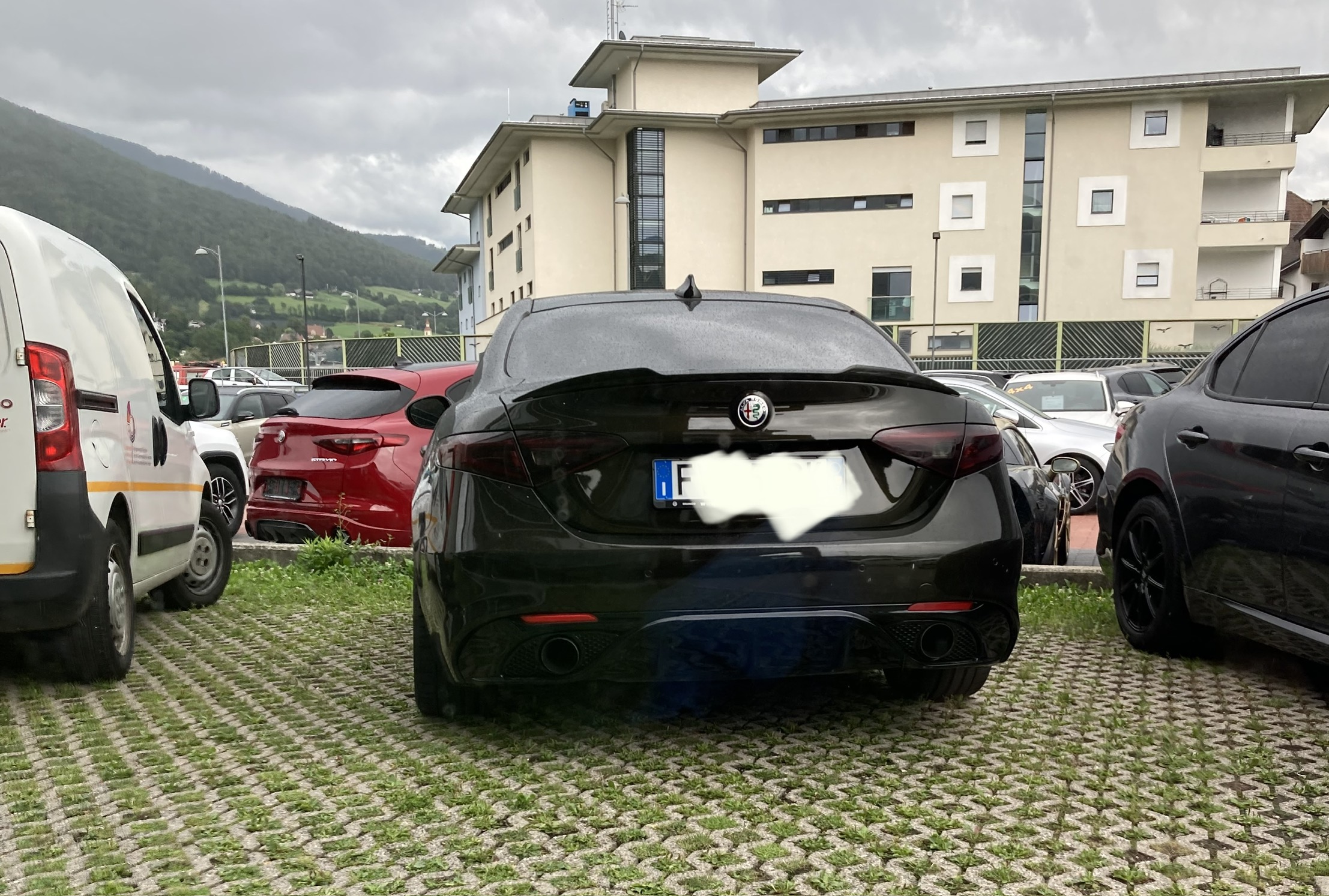 IMG_3236.jpeg
