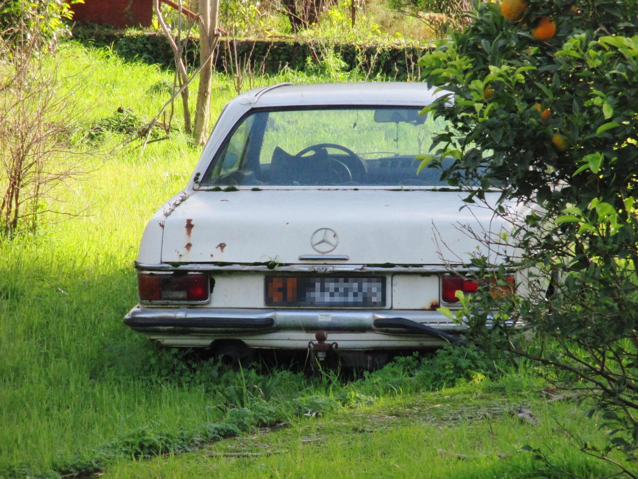 IMG_5287_Mercedes 280C.jpg