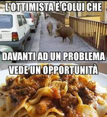 immagine.jpg