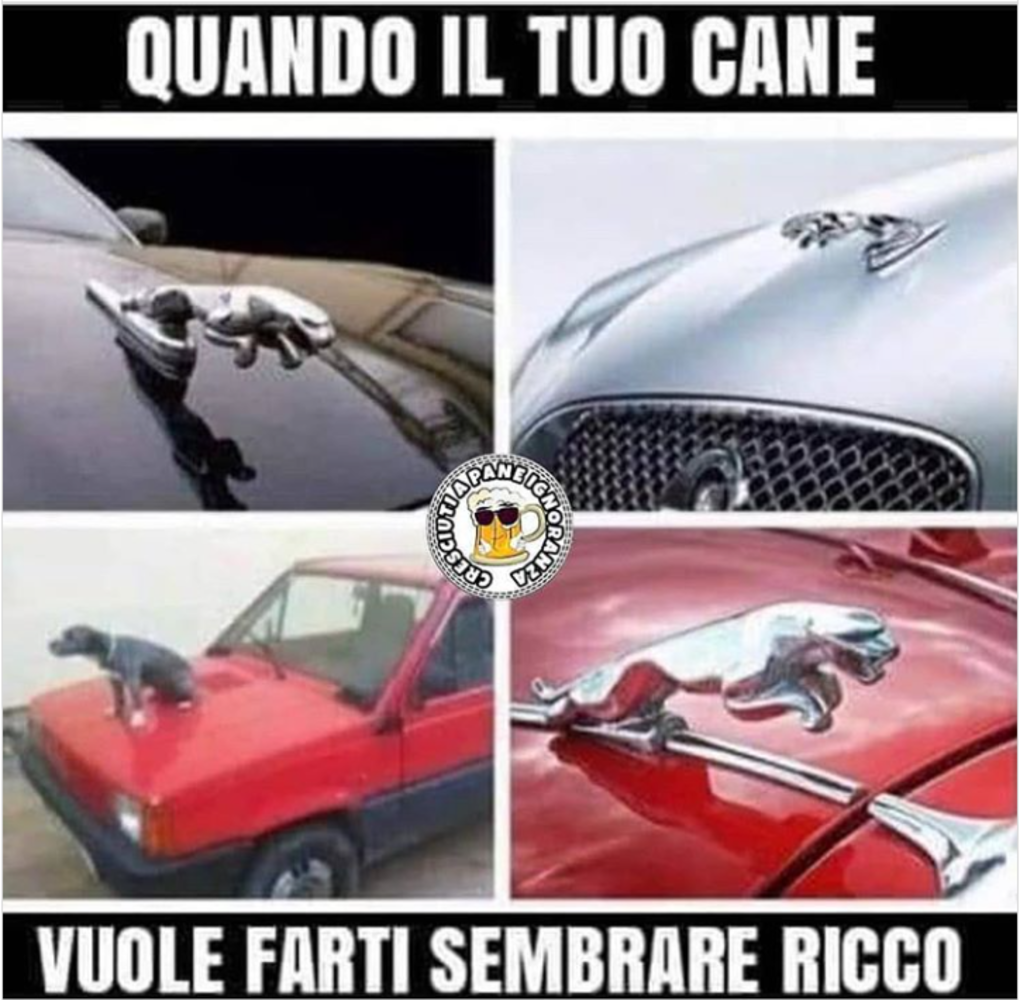 immagini-divertenti-nuove-le-migliori-ridere_0299.png