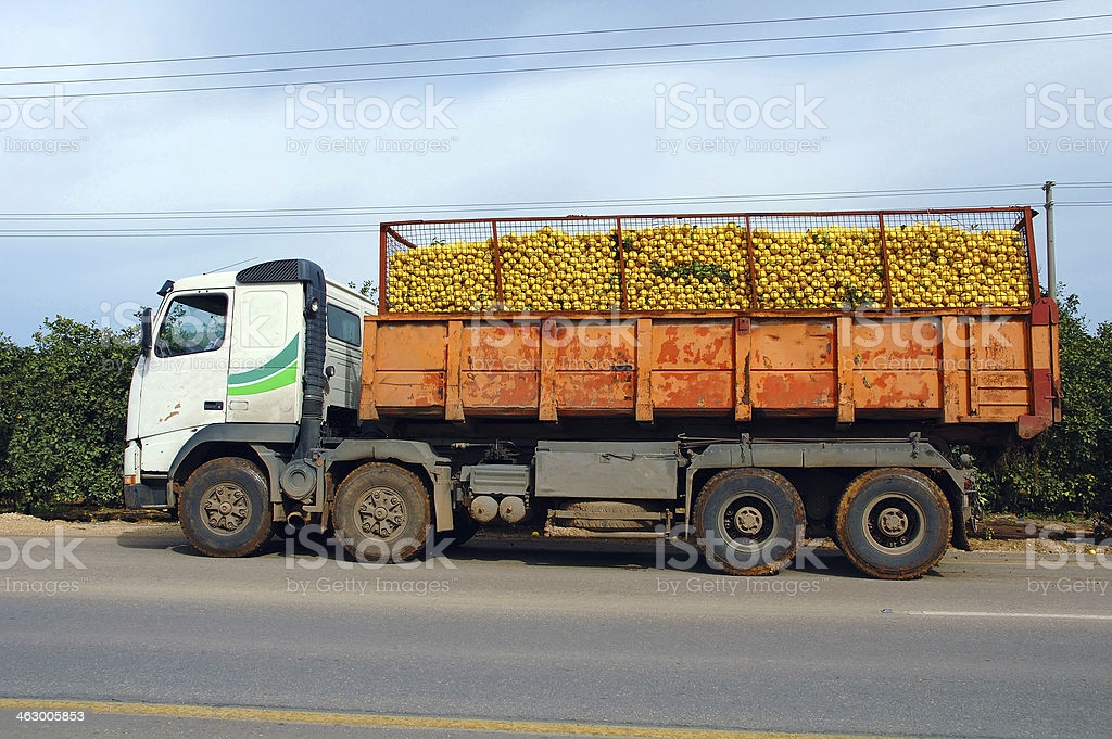 istockphoto-463005853-1024x1024.jpg