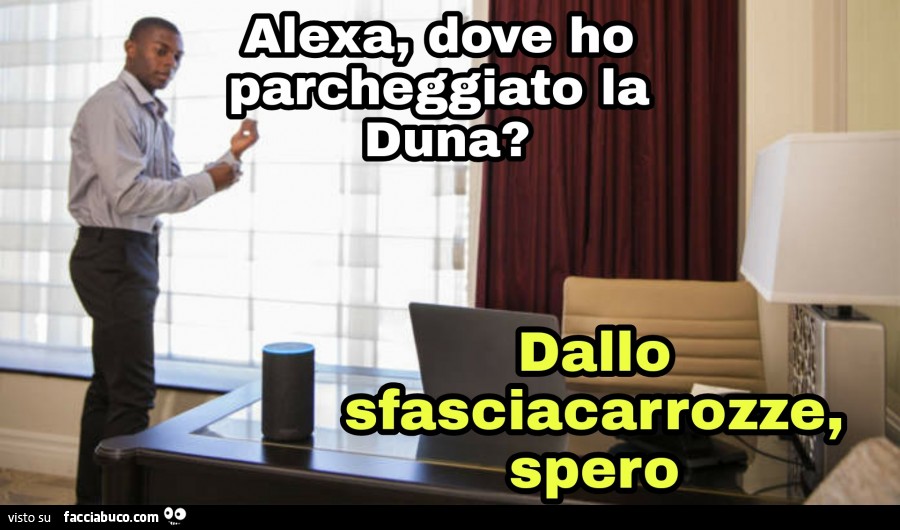 k0c8yxnf76-vaccata_b.jpg