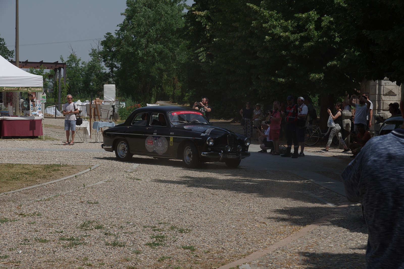 K3_12673.jpg