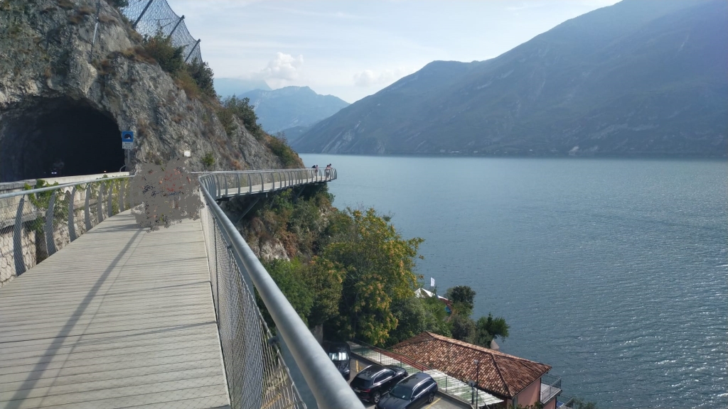 limone.jpg