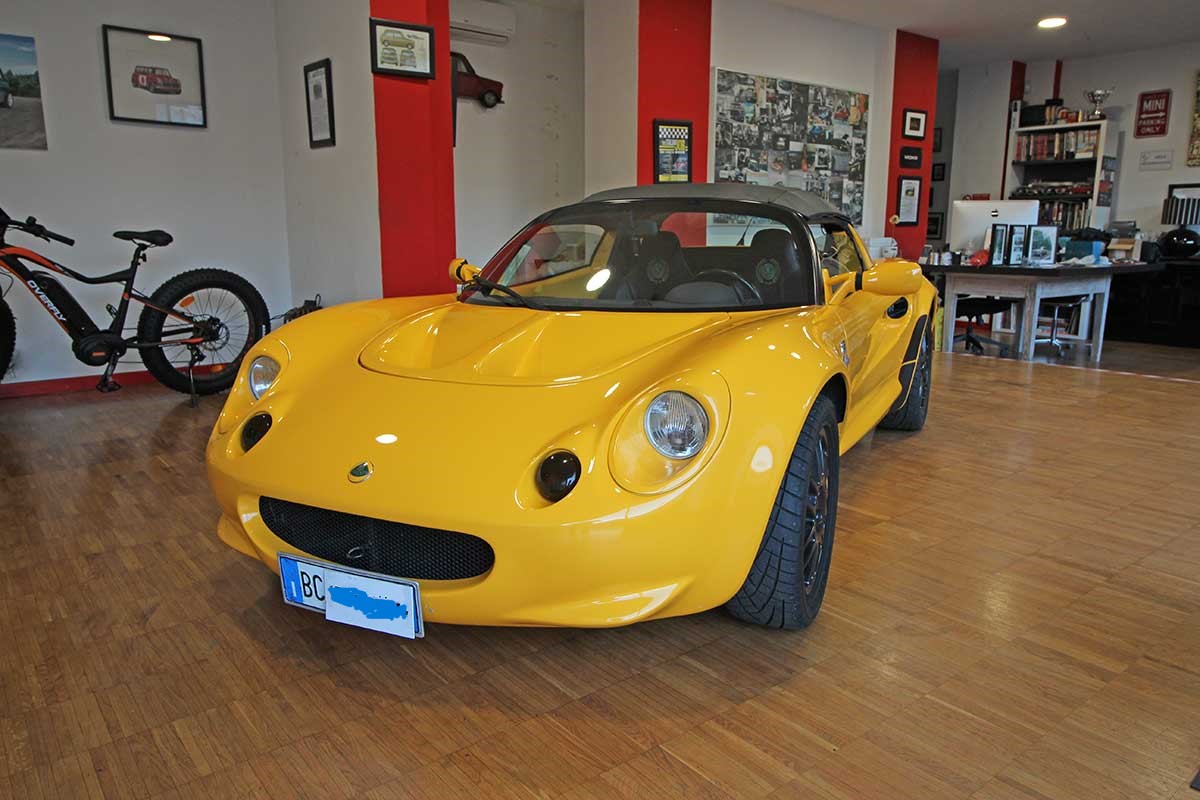 lotus.jpg