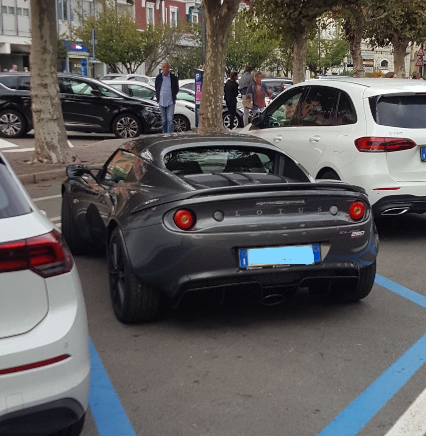 lotus2.jpg