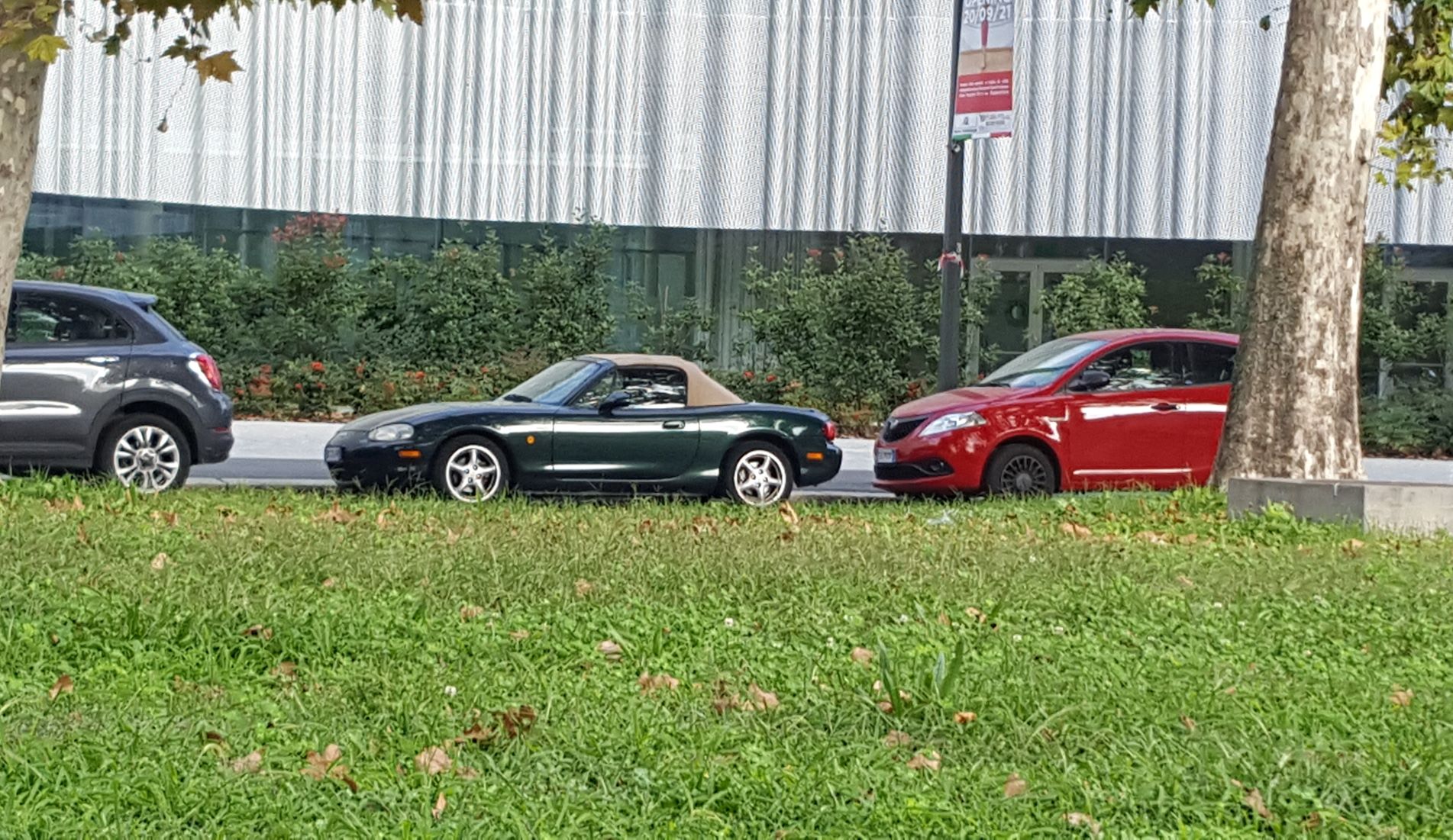 mazda1.jpg