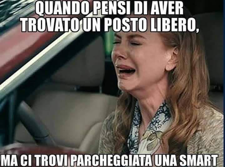 meme.jpg