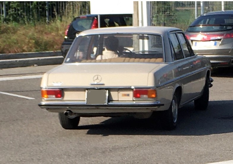Mercedes.jpg