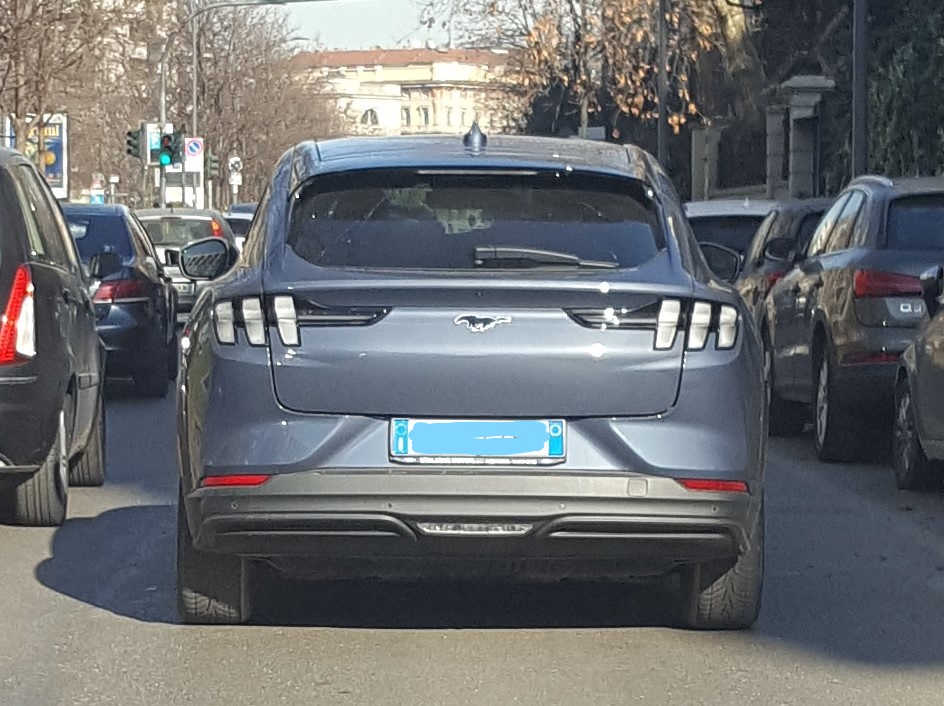 must 1.jpg