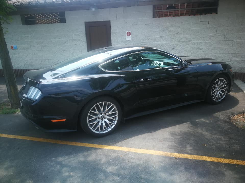 mustang 3.jpg