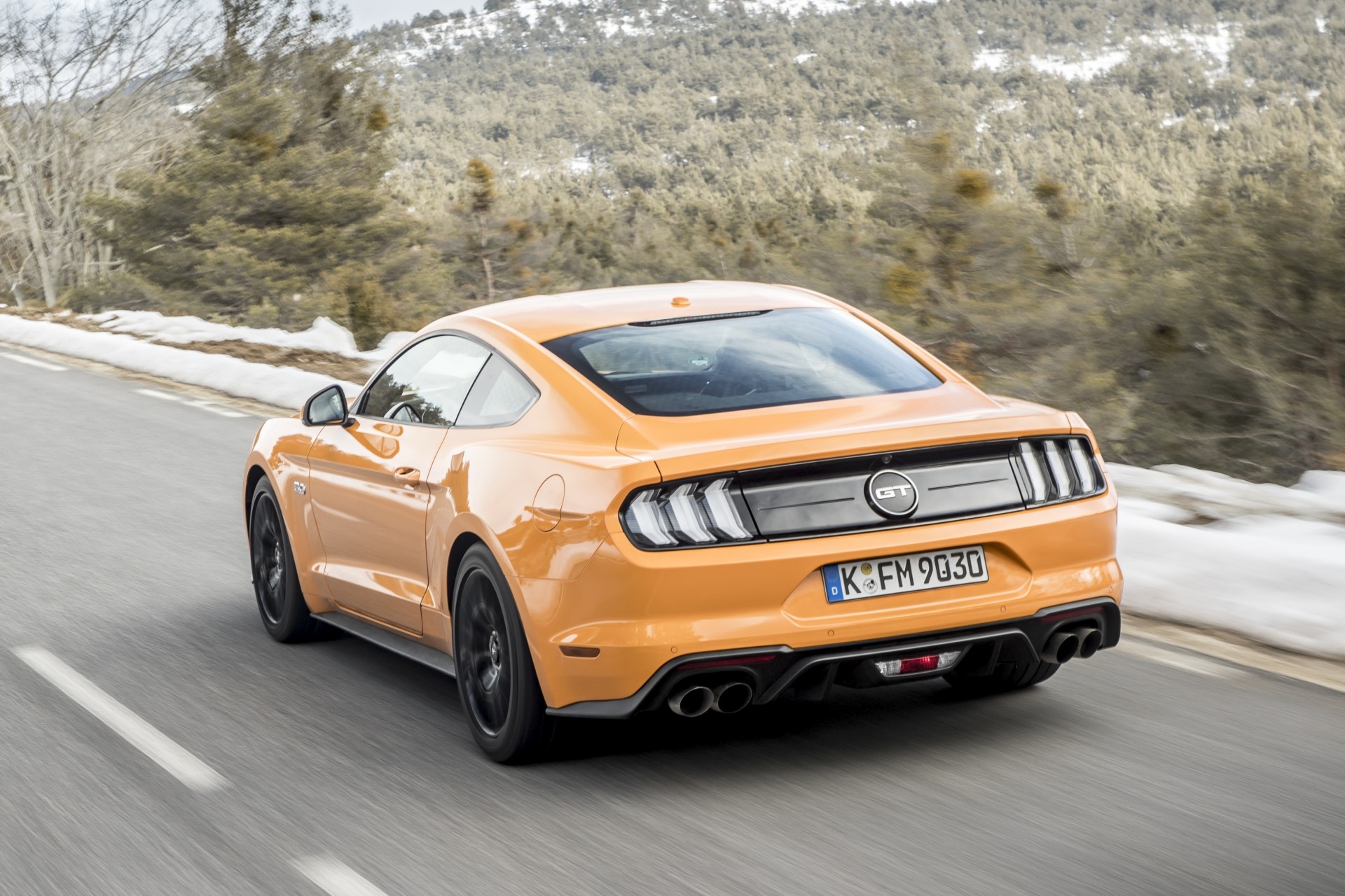mustang.jpg