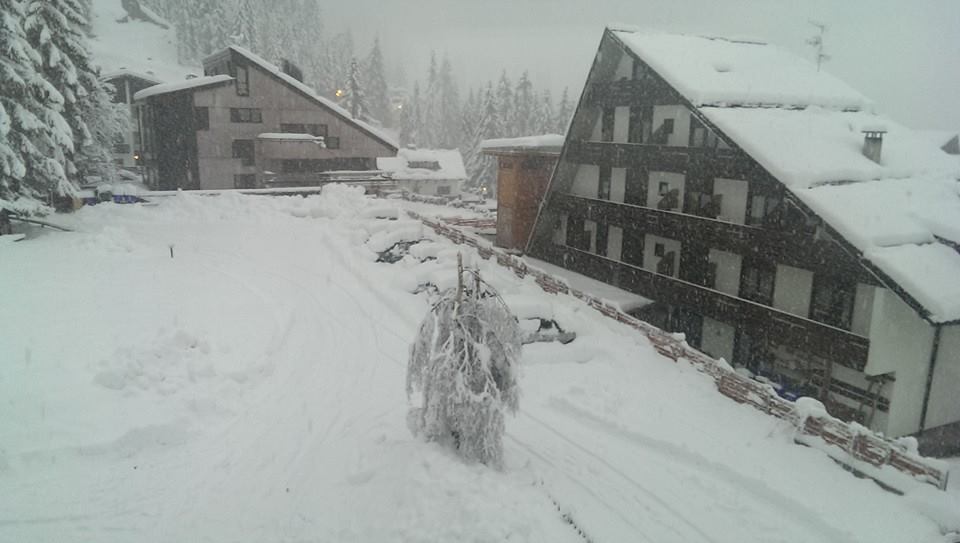 neve.jpg
