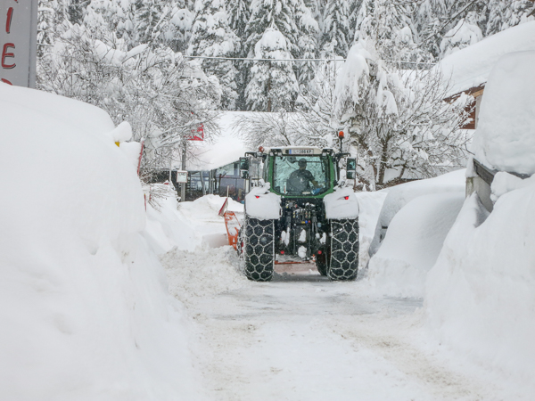 Neve.jpg