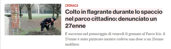 notizia.jpg