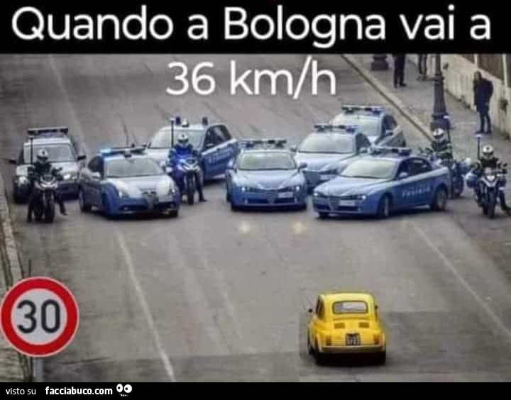 opzr4en5yn-vaccata_b.jpg