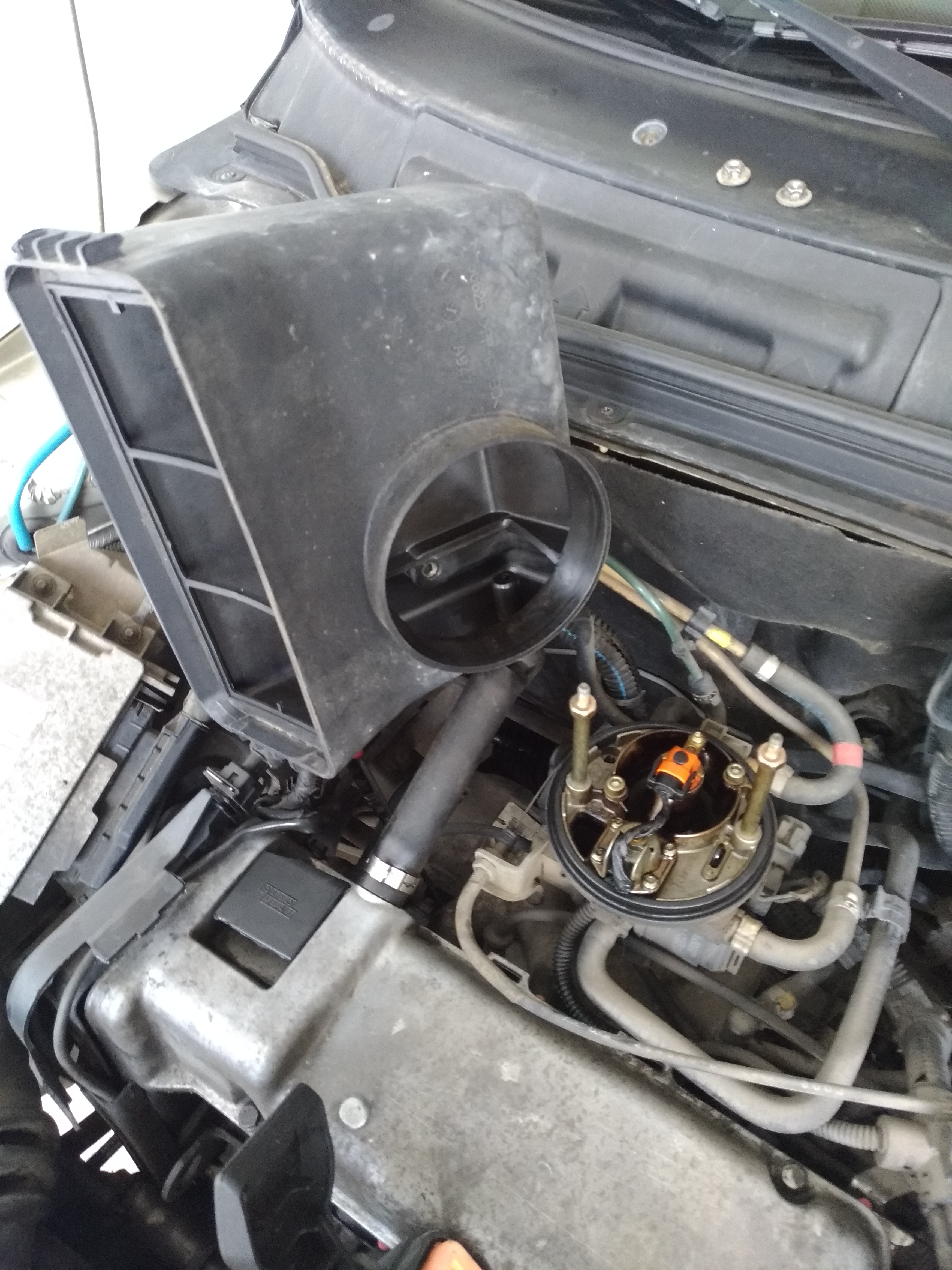 P_20180527_160120_vHDR_On.jpg