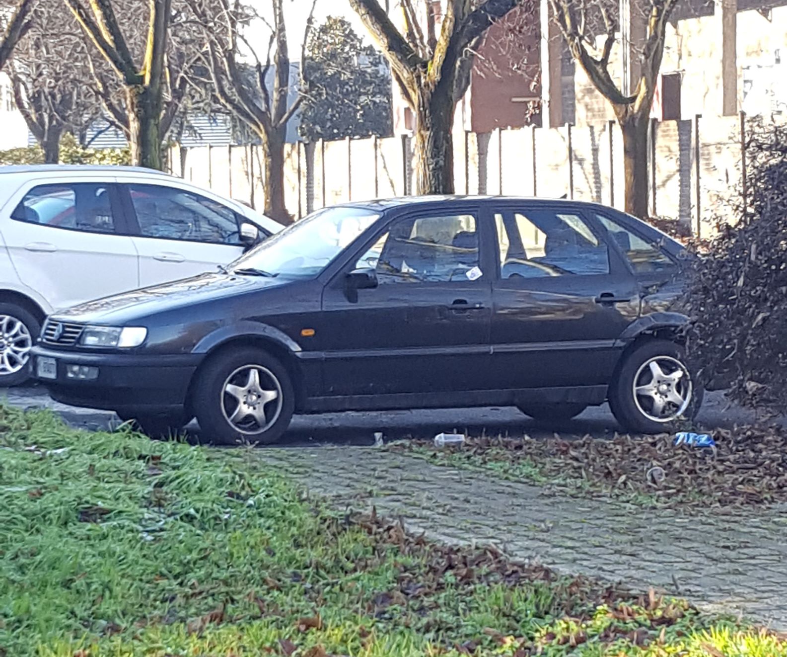 passat gllllll.jpg