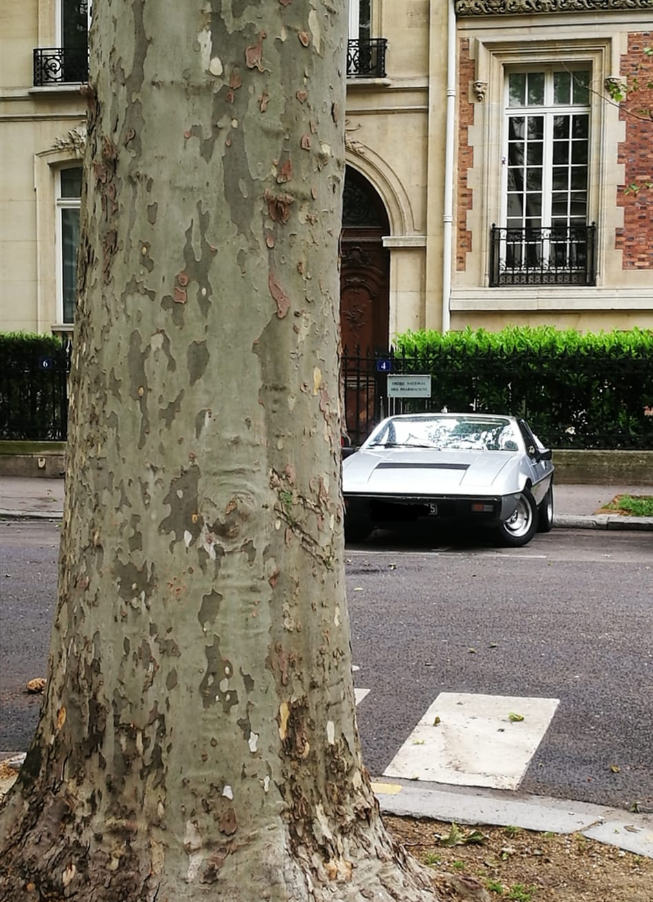 Photo de Federico Bozzi.jpg
