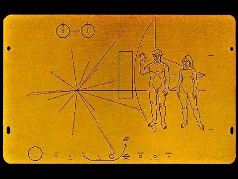 pioneer.jpg