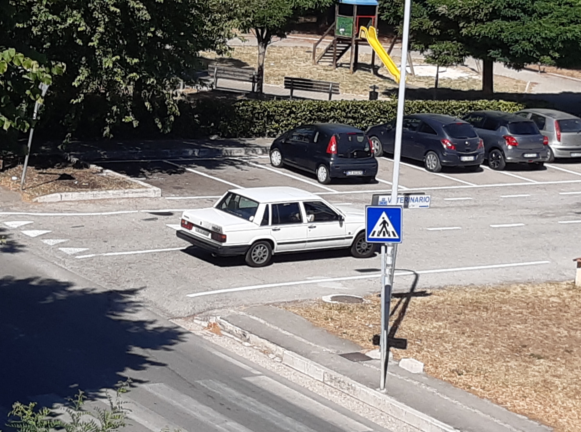 Polish_20210715_161137265.jpg