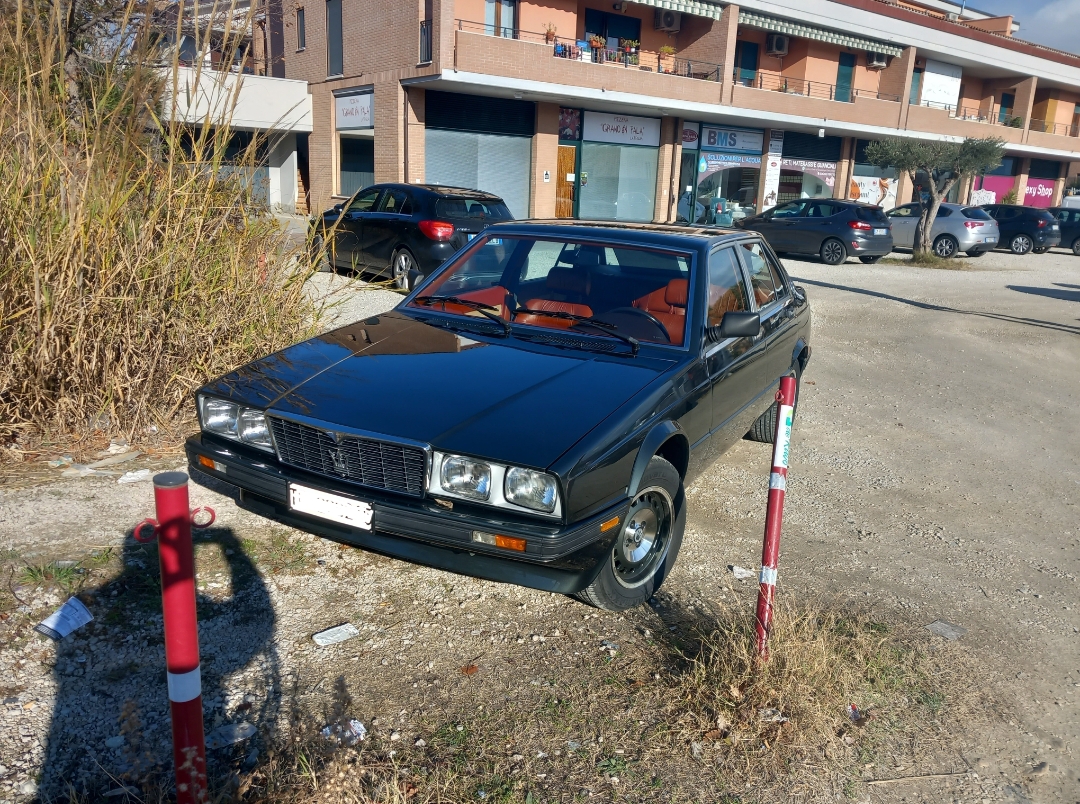 Polish_20240206_102129727.jpg