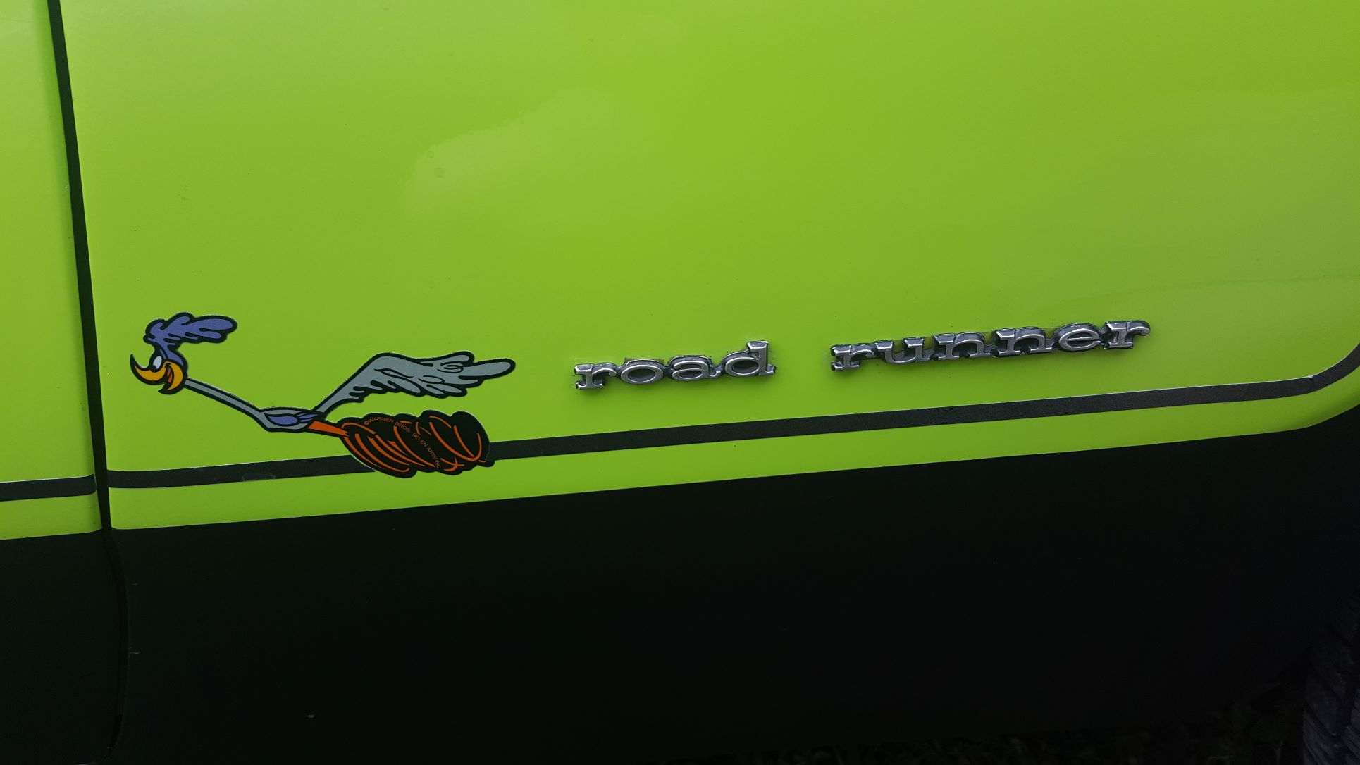road runner.jpg
