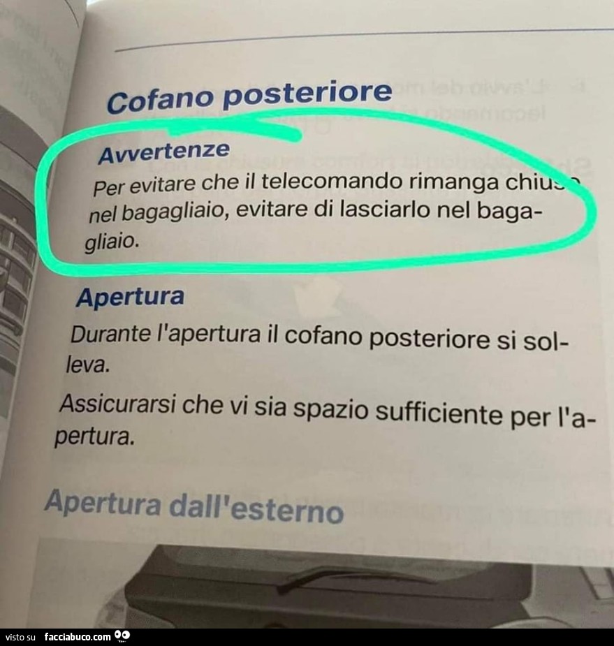 rwortc8l2u-vaccata_b.jpg