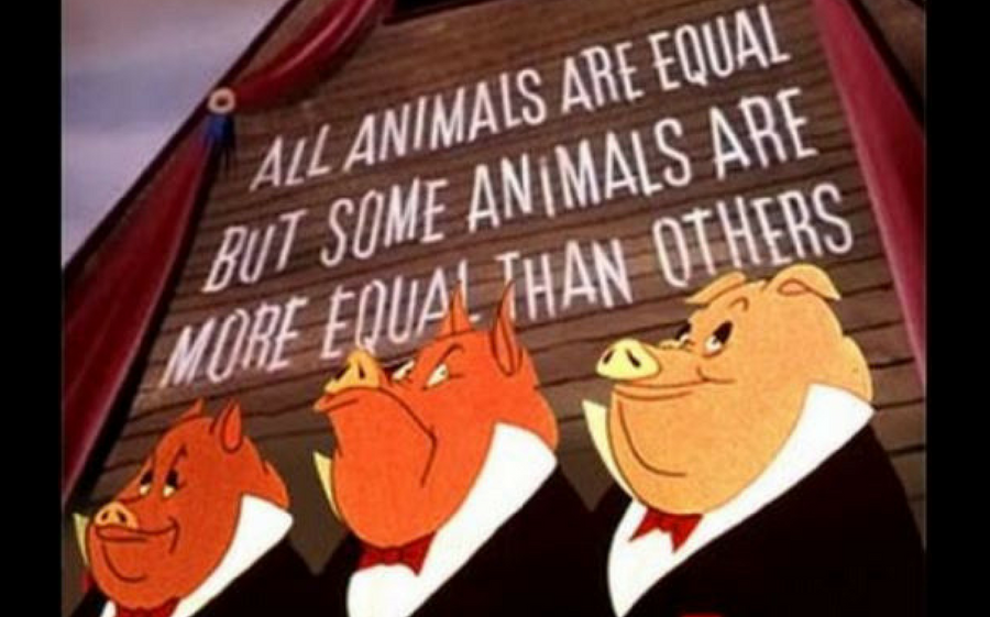 scheda-libro-fattoria-animali.png