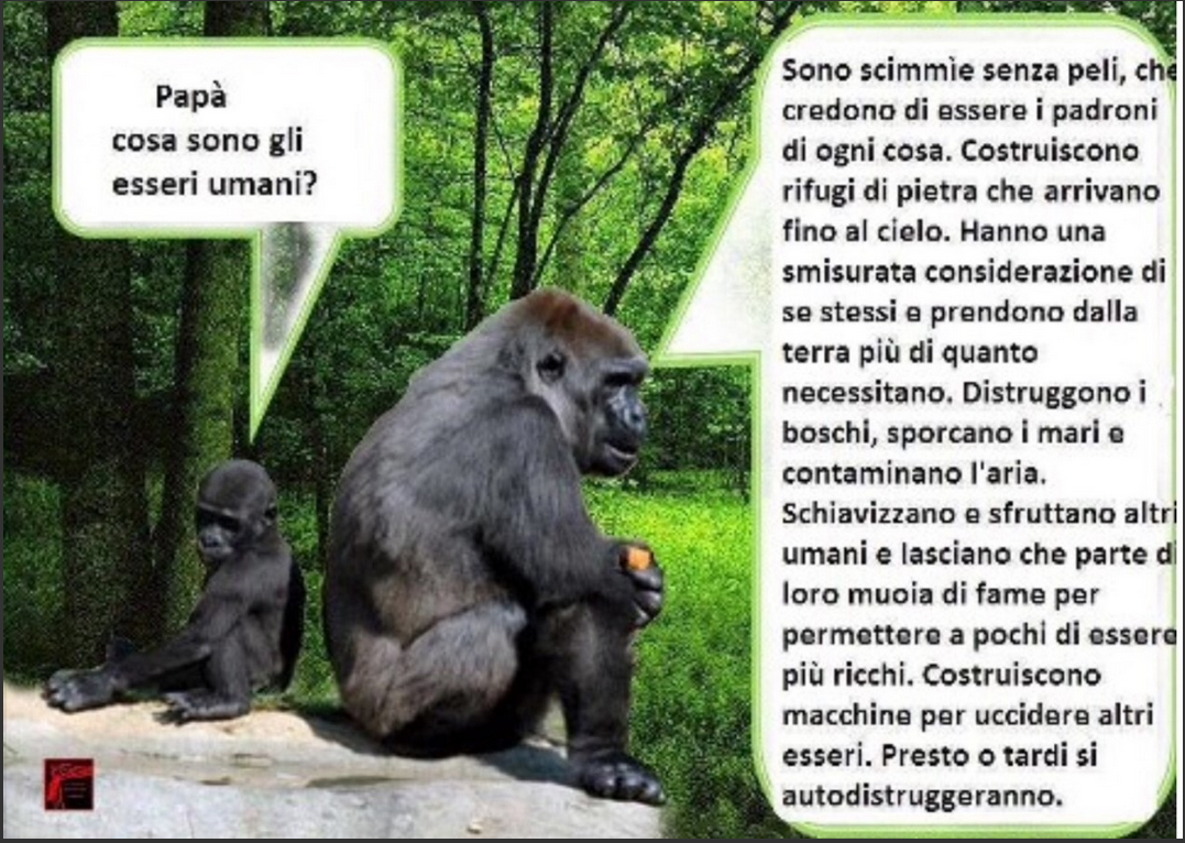 Schermata 2017-02-17 alle 10.04.03.png