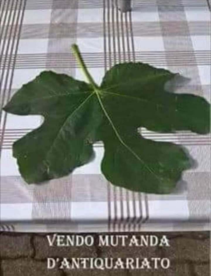 Screenshot_20230315-220118_WhatsApp.jpg