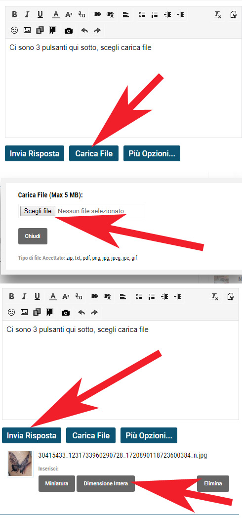 Senza titolo-1.jpg