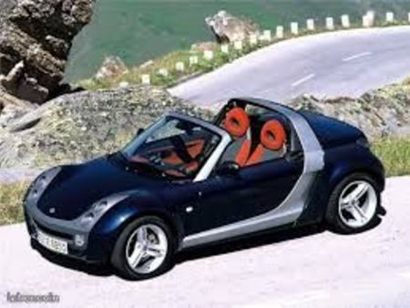 smart-roadster-smart-roadster-cabriolet-bleu_7650859860.jpg