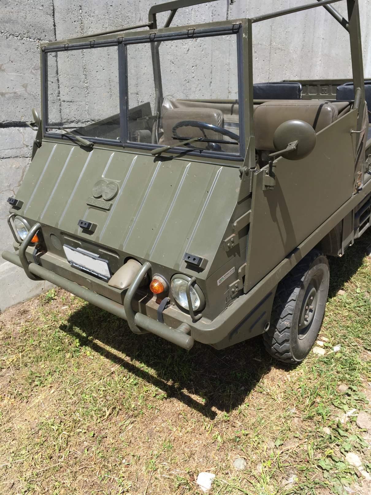 Steyr Puch Haflinger_2.jpg