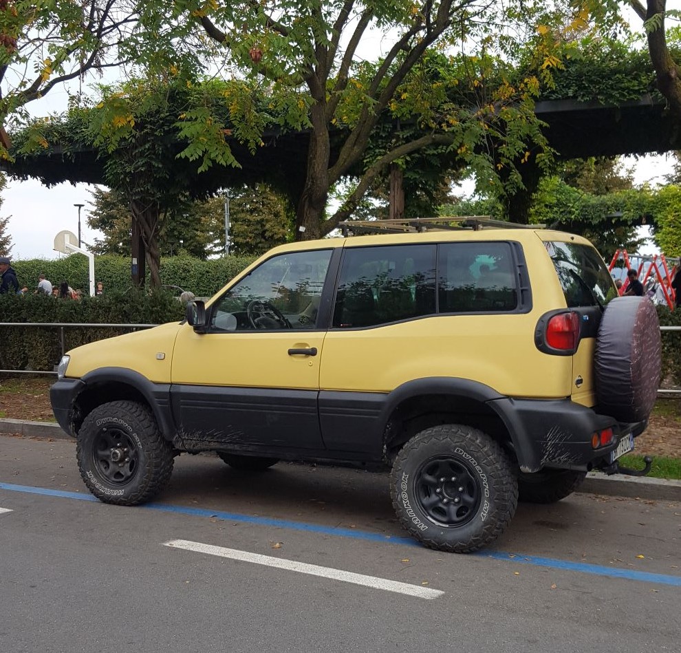 terrano1.jpg