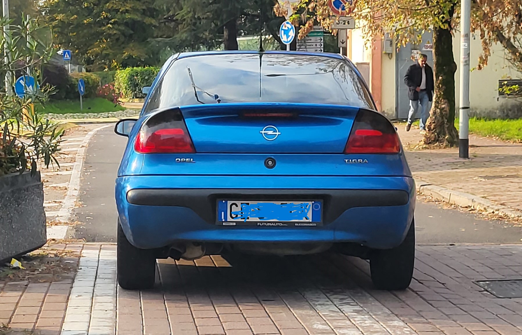 tigra.jpg