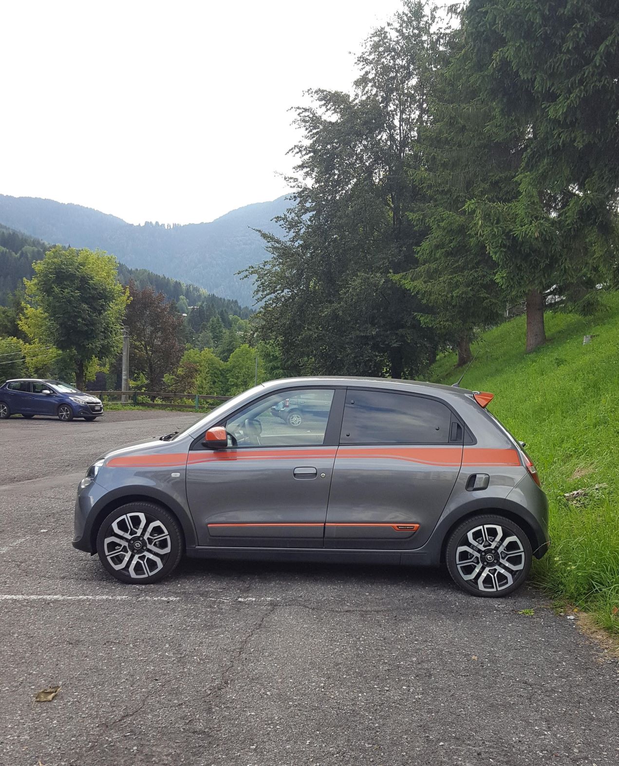 twingo 1aa.jpg