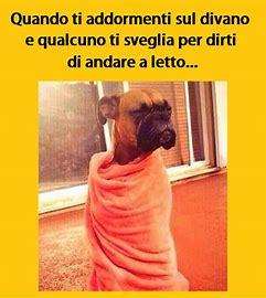 upload_2022-2-23_21-43-27.jpeg