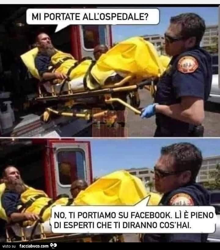 uyp7vtzgig-vaccata_b.jpg