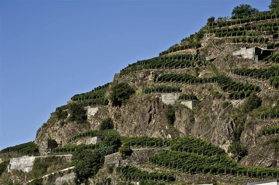 valtellina.jpg