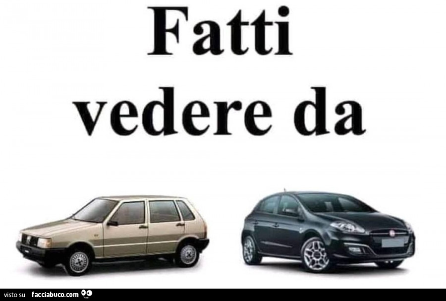 vjtkg59qum-fatti-vedere-da-fiat-uno-bravo-vaccata_b.jpg