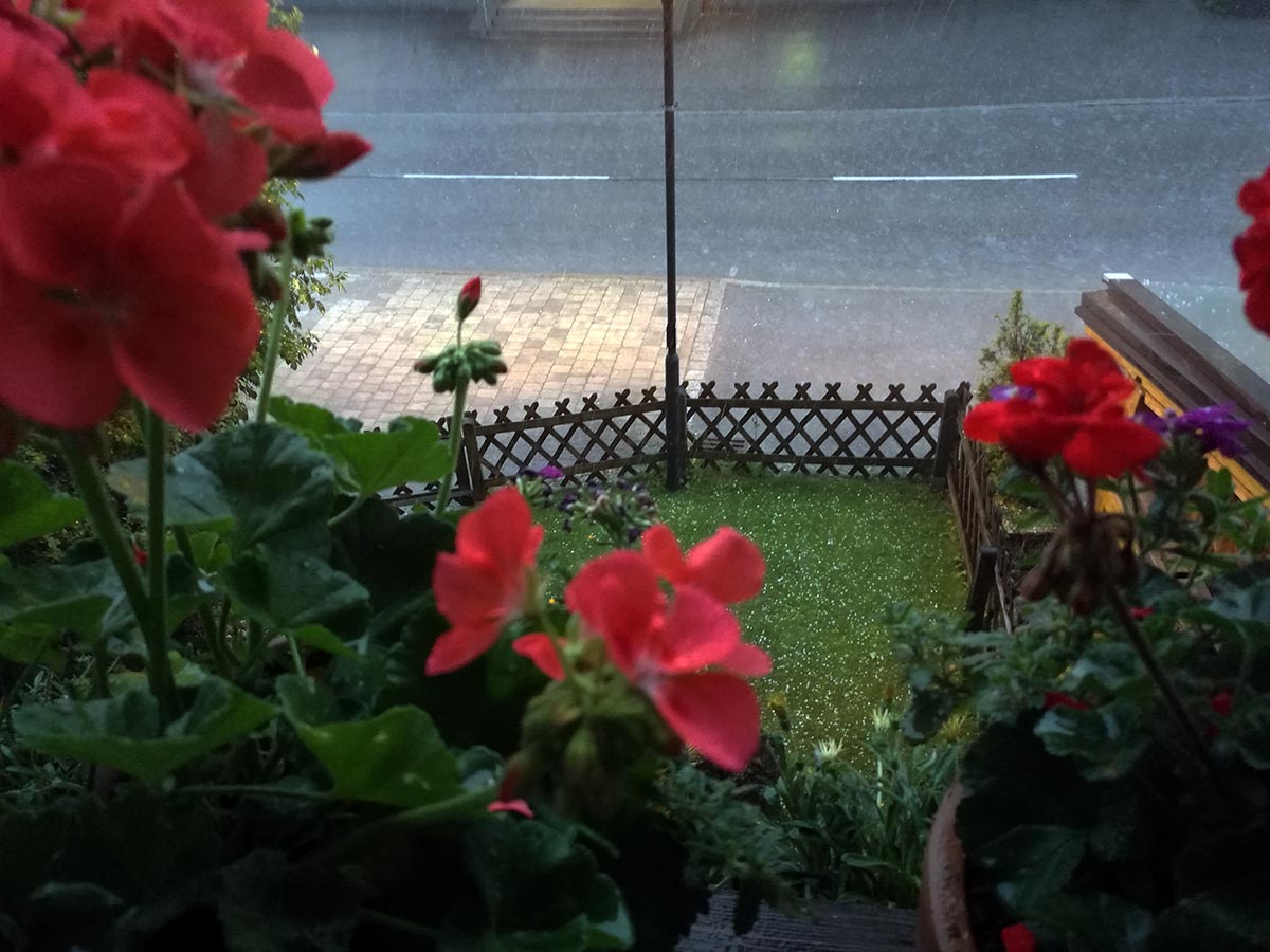 Wetter.jpg